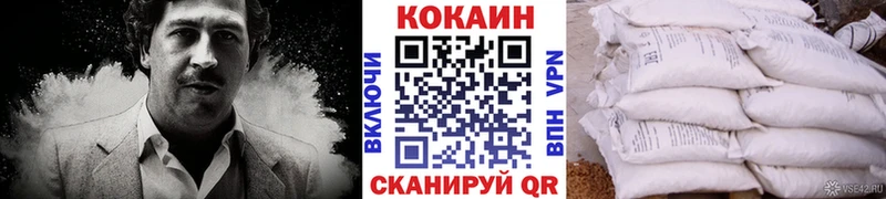 Купить закладки  Лебедянь  Кокаин FishScale 