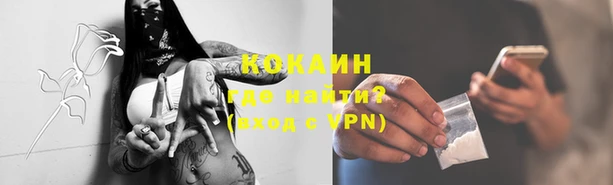 твердый Горняк