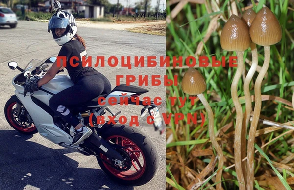 прущая мука Горно-Алтайск