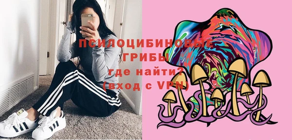 твердый Горняк