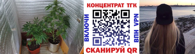 Купить где  Лебедянь  Дистиллят ТГК Wax 