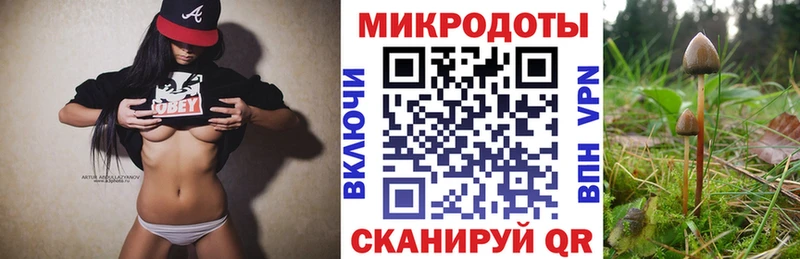 Купить закладки  Лебедянь  Псилоцибиновые грибы Magic Shrooms 